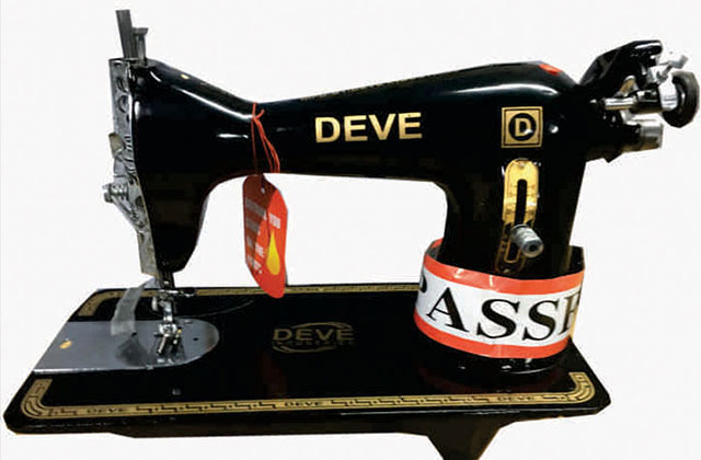 sv-domestica